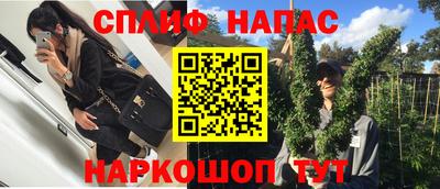 бошки Сланцы