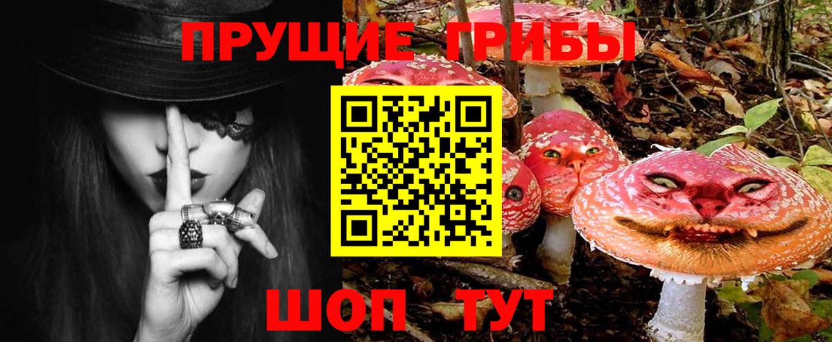 купить наркотик  Галлюциногенные грибы мицелий  Белая Калитва  Вход с VPN  Псилоцибиновые грибы мухоморы 