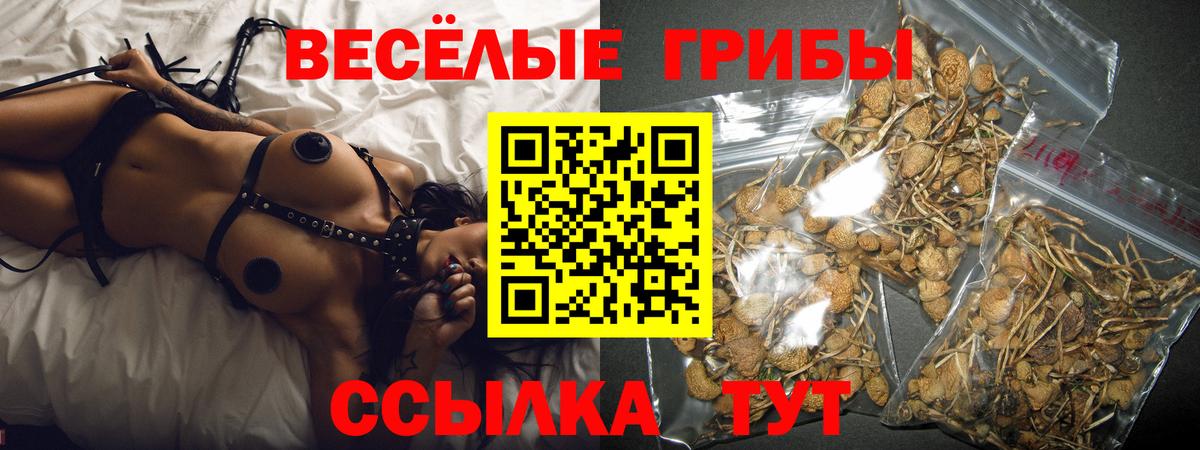 Галлюциногенные грибы MAGIC MUSHROOMS Белая Калитва